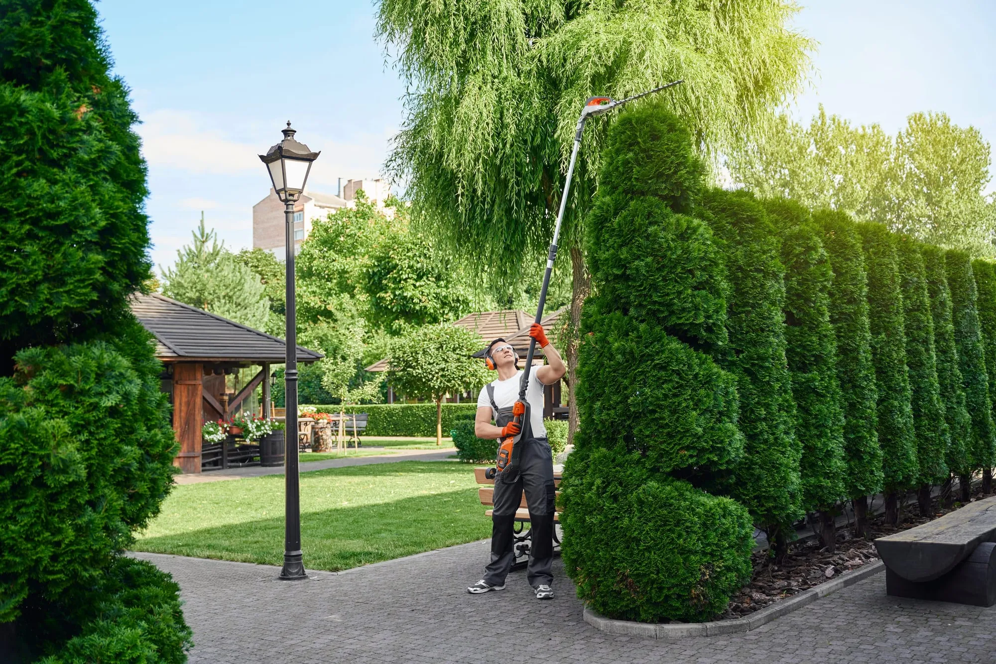 Photo du service Entretien paysager