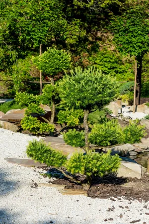 Jardin réalisé
