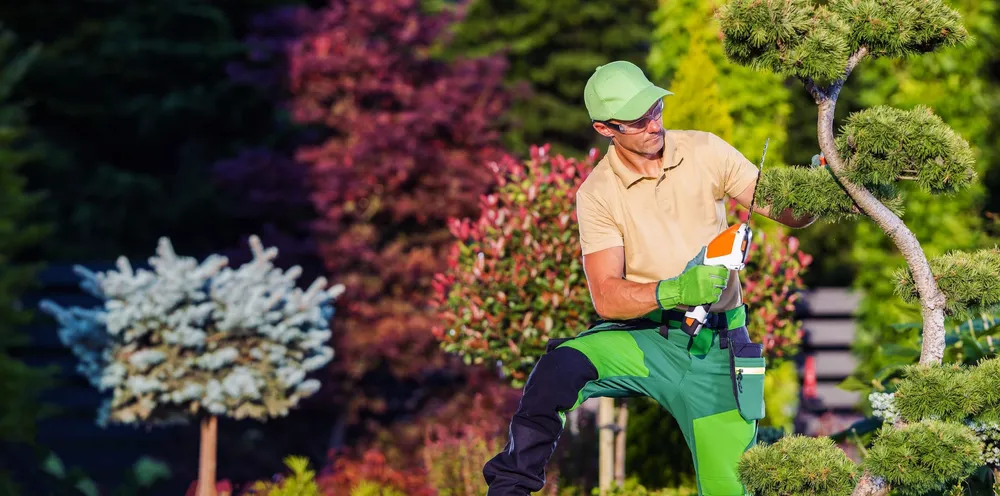 Paysagiste à [Votre Ville] — création de jardin et aménagement extérieur