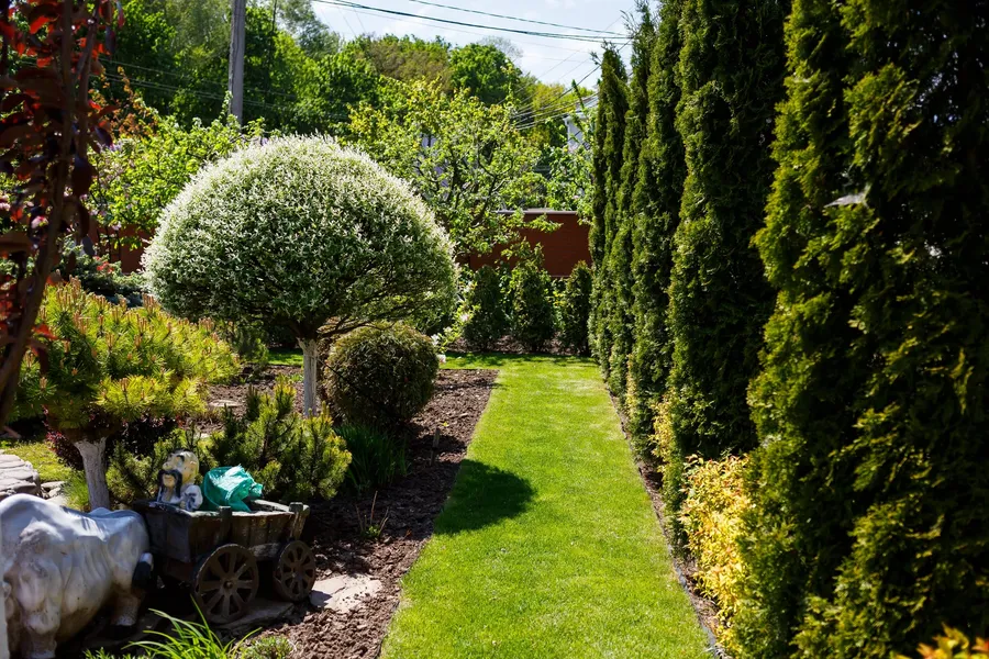 Photo du service Création de jardin