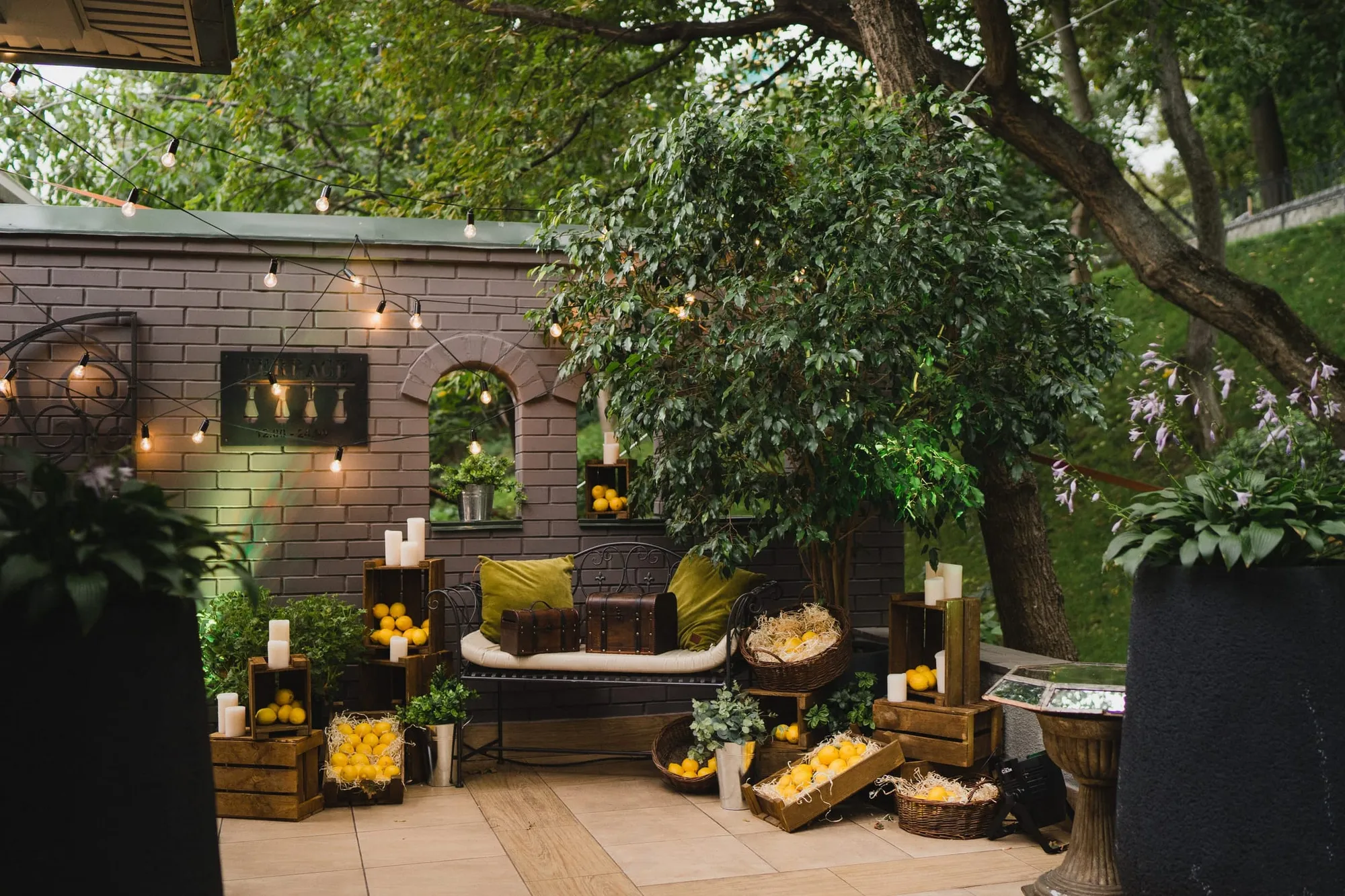 photographie