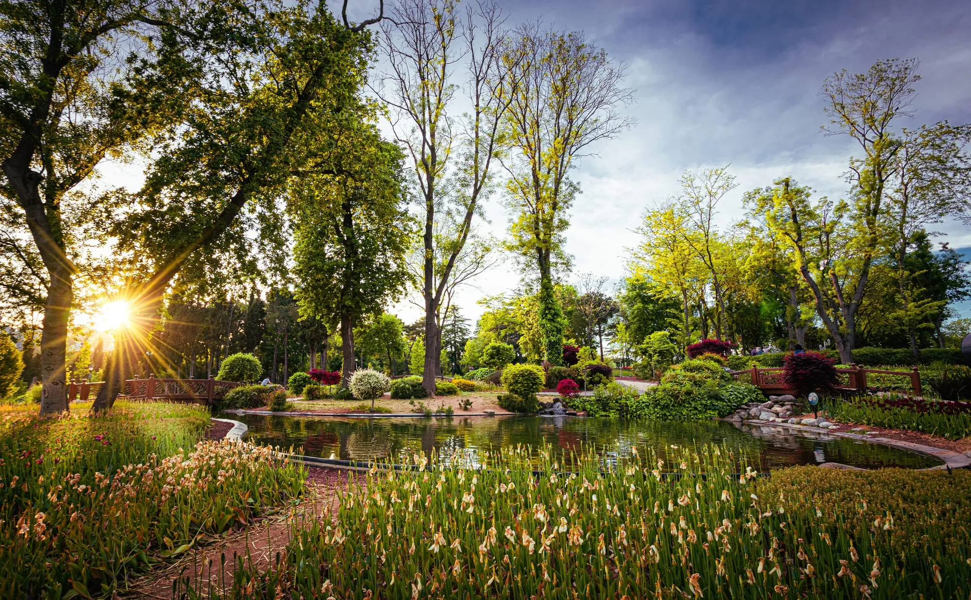 Jardin d’ornement